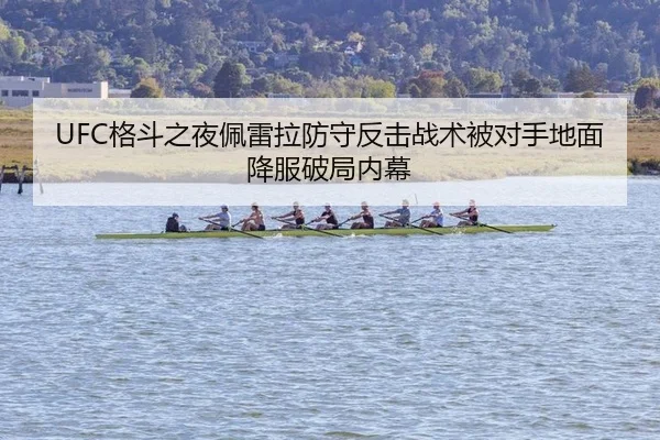 ge-dou-zhi-ye-pei-lei-la-fang-shou-fan-ji-zhan-shu-bei-dui-shou-di-mian-xiang-fu-po-ju-nei-mu-2-499.jpg